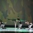 Gran Galà della Danza 2013