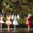 GRAN GALA' della DANZA 2016