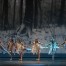 GRAN GALA' della DANZA 2015