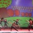 Gran Galà della Danza 2014