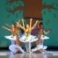 Gran Galà della Danza 2014