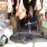 Afghanistan - Kabul < Viaggio e Asilo >