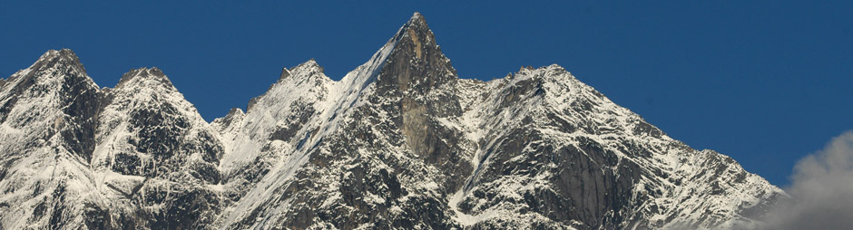 Contatti